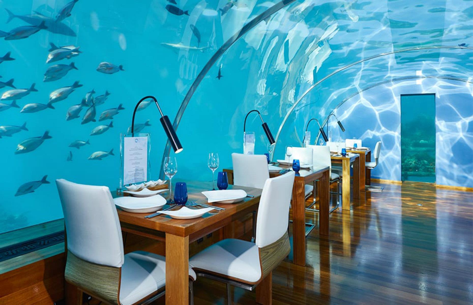 <p>As well as its exclusive undersea suite, the Conrad resort also lays claim to having the world’s first all-glass undersea restaurant. The small but spectacular Ithaa Undersea Restaurant (pictured) opened in 2005 and lies 16 feet (5m) below the ocean's surface. It serves up sensational views of the surrounding corals and ocean life to 14 diners along with a menu of contemporary European cuisine and fine wines.</p>  <p><strong><a href="https://www.loveexploring.com/galleries/100304/40-places-you-wont-believe-are-on-earth">Check out these jaw-dropping places you won't believe are on Earth</a></strong></p>