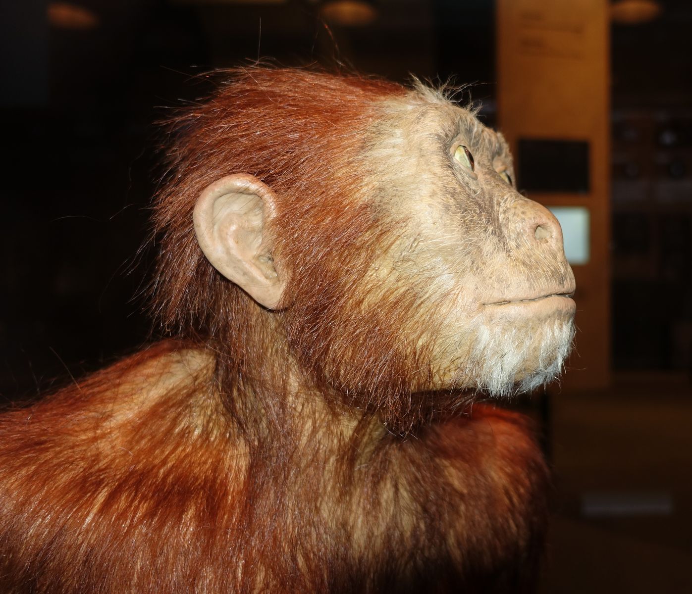 Meet the nicest stars in Hollywood