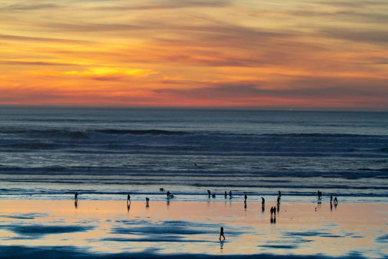 The 15 Best Beaches In The State Of Oregon