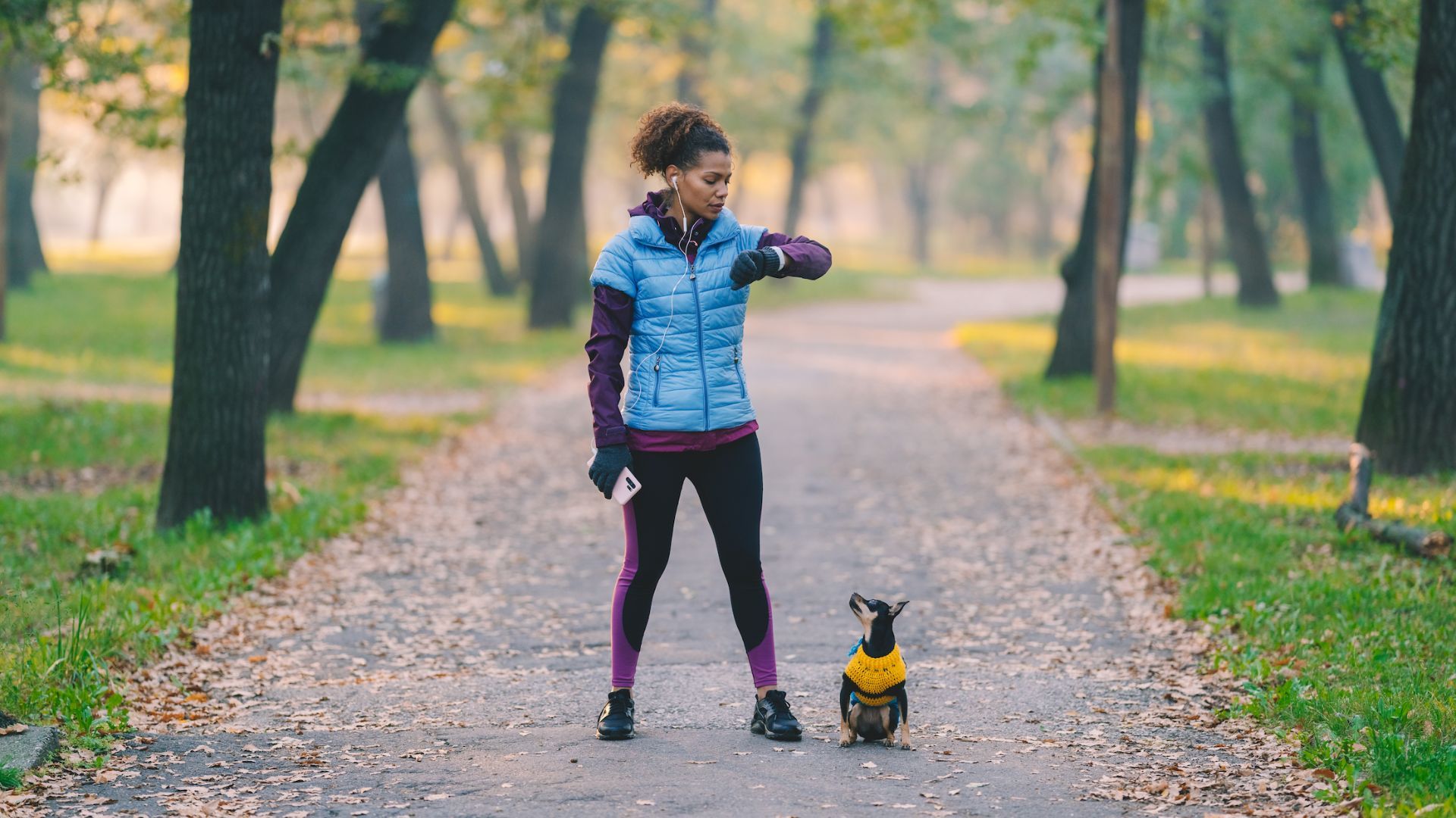 <p>                     In other words, train little and often. It’s thought that five minutes maximum is the magic number. Too much longer and your four legged friend might become frustrated or lose interest.                   </p>