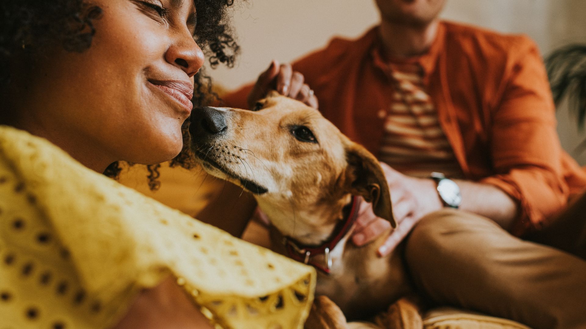 <p>                     Positive reinforcement for dogs works and there’s science to back this up. The technique involves rewarding your pet in return for the ‘correct’ behavior which should encourage your pooch to repeat the behavior again (and again) later down the line.                   </p>