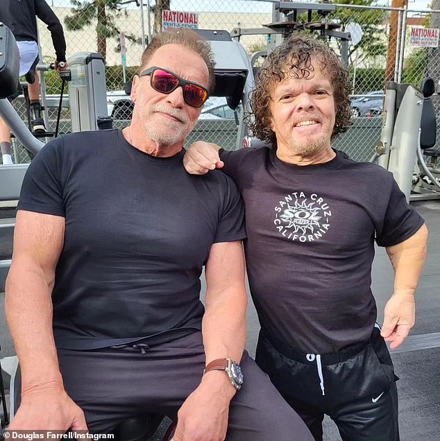 Arnold Schwarzenegger is 'PUNCHED' by Peter Dinklage's stunt double