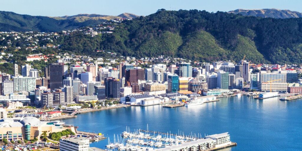 <p>While smaller than Auckland, Wellington is New Zealand’s capital city. </p><p>Located at the bottom of the North Island, Wellington is a gorgeous city perched along a sparkling harbor and surrounded by green hills. </p><p>Wellington is known as “windy Welly” for its notoriously gusty weather, but on a clear, calm day, it’s hard to imagine a prettier city. </p><p>Top things to do in Wellington include taking the cable car to the botanic gardens, hiking to the top of Mount Victoria for panoramic views over the city, and visiting the excellent (and free) Te Papa Museum. Consider a <a href="https://viator.tp.st/pDGnYytC" rel="noreferrer noopener nofollow sponsored">sightseeing tour</a> from a local!</p><p>While in Wellington, it would also be remiss not to sample some of the city’s delicious <a href="https://viator.tp.st/Wvz8OE0j" rel="noreferrer noopener nofollow sponsored">craft beer</a>, which it’s well-known for. Head to Little Beer Quarter for a great selection of local craft beers.</p>