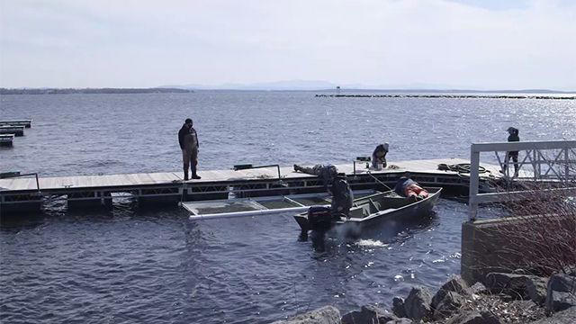 Lake Champlain salmon stocking underway