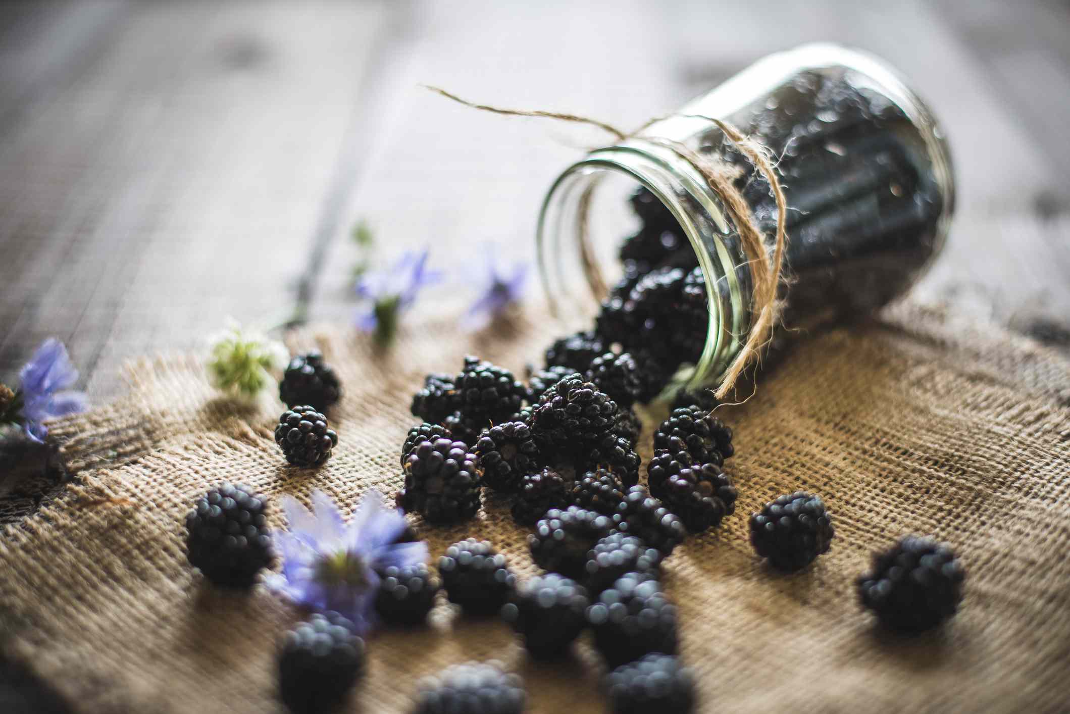 Health Benefits of Blackberries