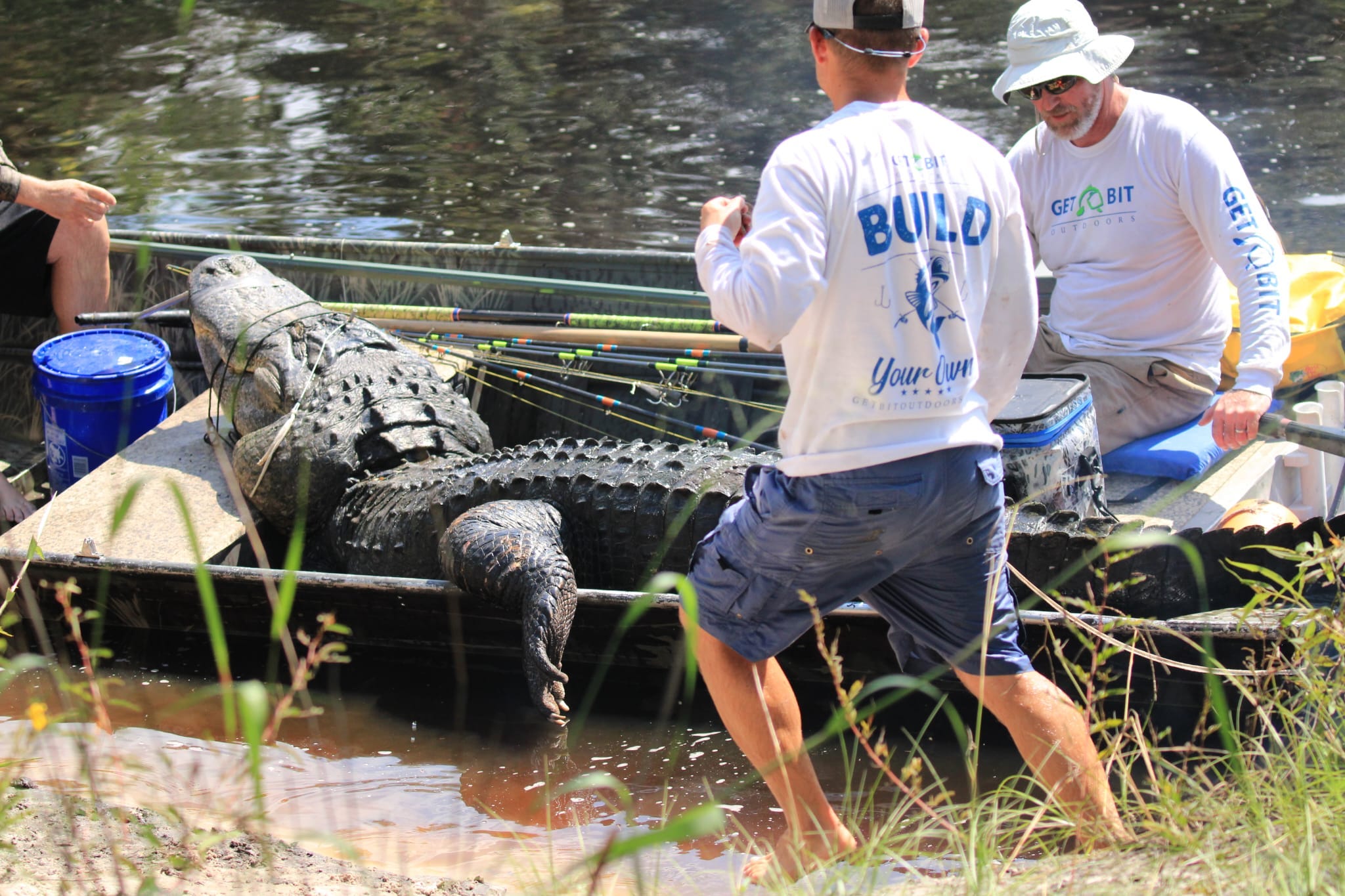 Photos Show 920 Pound Alligator Caught In Florida After 4 Hour Struggle