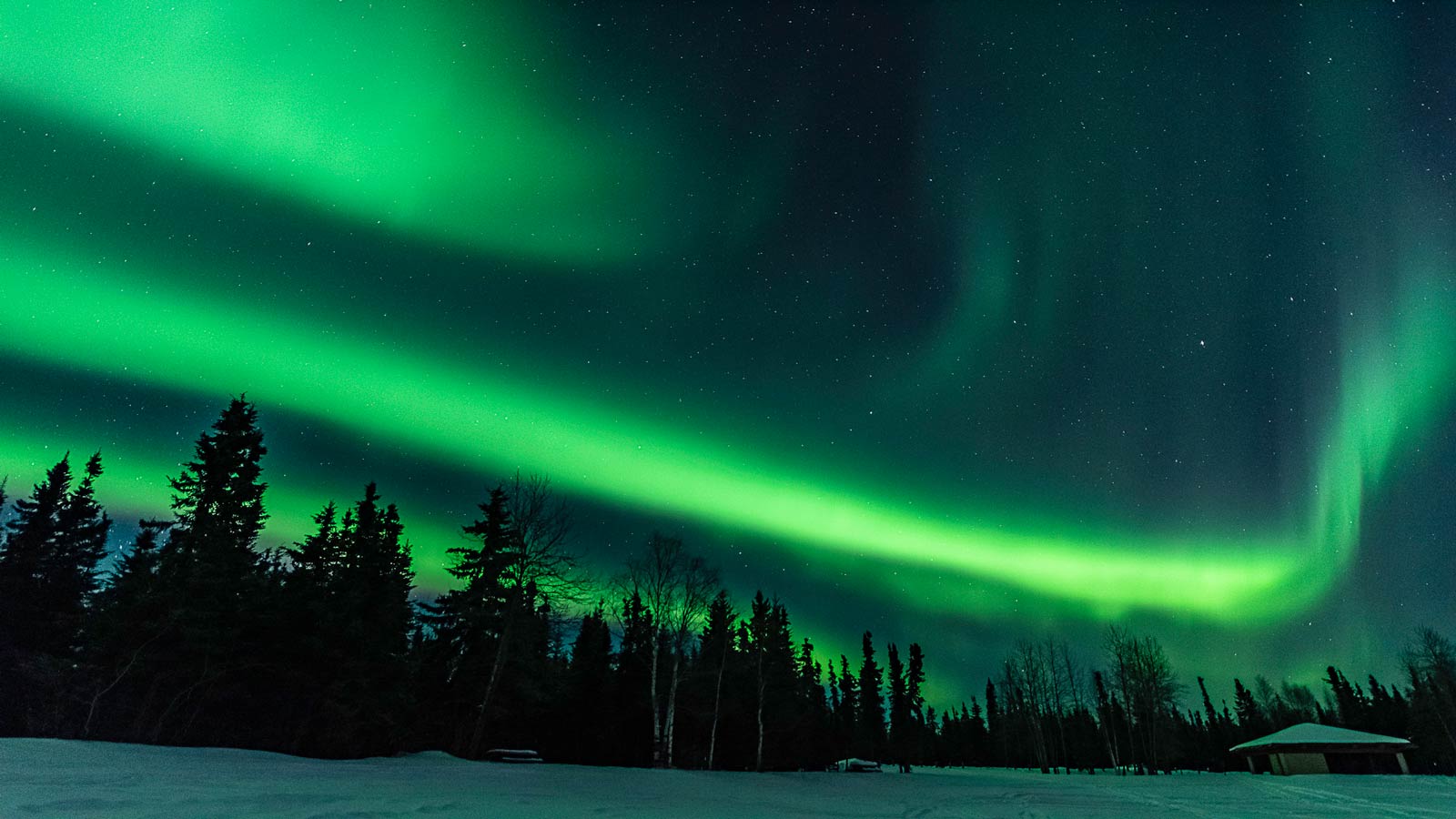 <p>Fairbanks is a popular spot for tourists to stop on their trip to Alaska, with the upside of possibly seeing the Northern Lights during their stay. Many local hotels also offer complimentary wake-up calls to let you know when the lights are out. Talk about full service!</p>