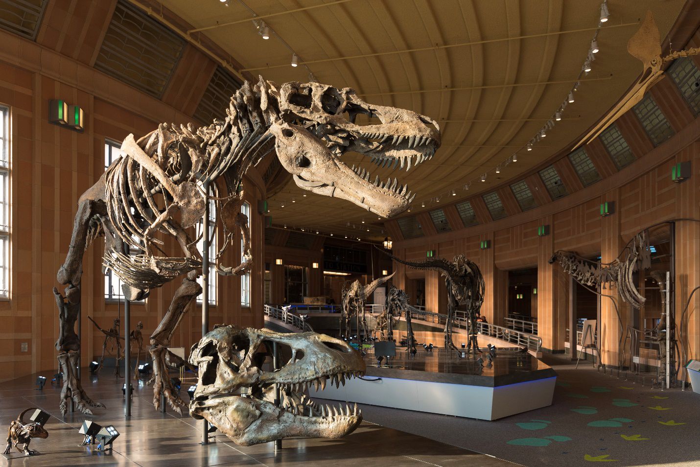 Natural history museum перевод. Музей естественной истории (г. Денвер. Мир Юрского периода музей. Музей естествознания в Тринге. Музей естествознания Израиль.