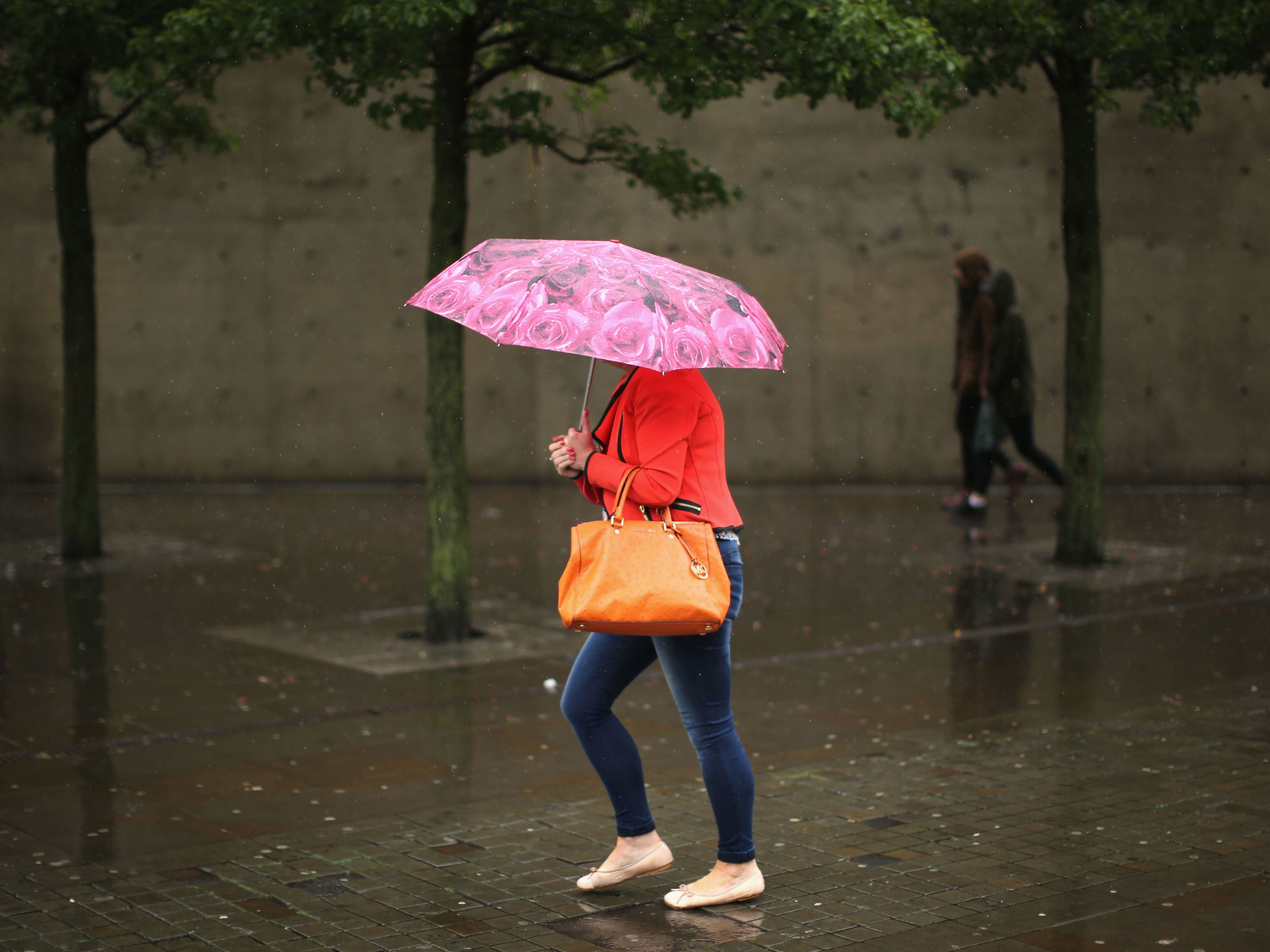 Дождь на юге. Rain in the face.