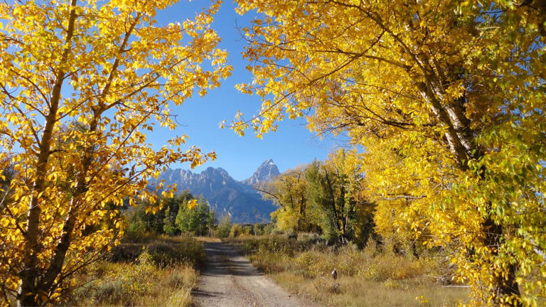 Top 10 National Parks In The USA for Cozy Fall Getaways