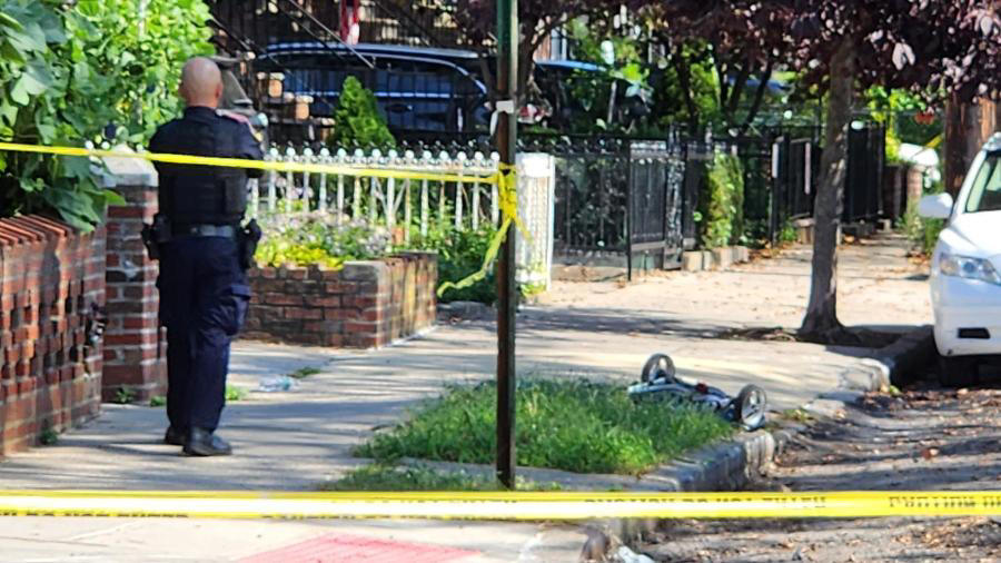 Brooklyn Driver Charged In Crash That Killed Grandmother Pushing Stroller Police Say