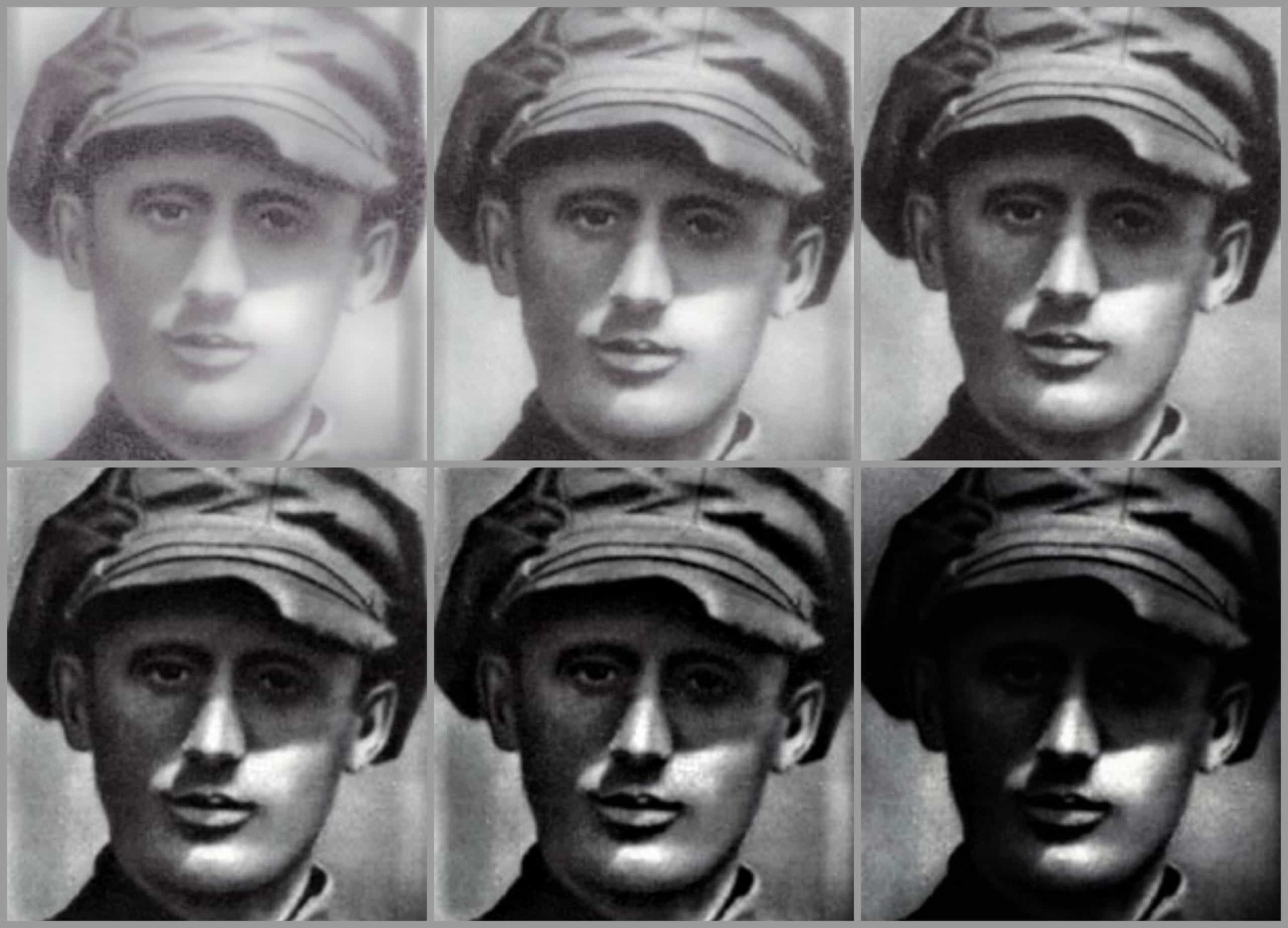 Discover The Largest Elk in the World