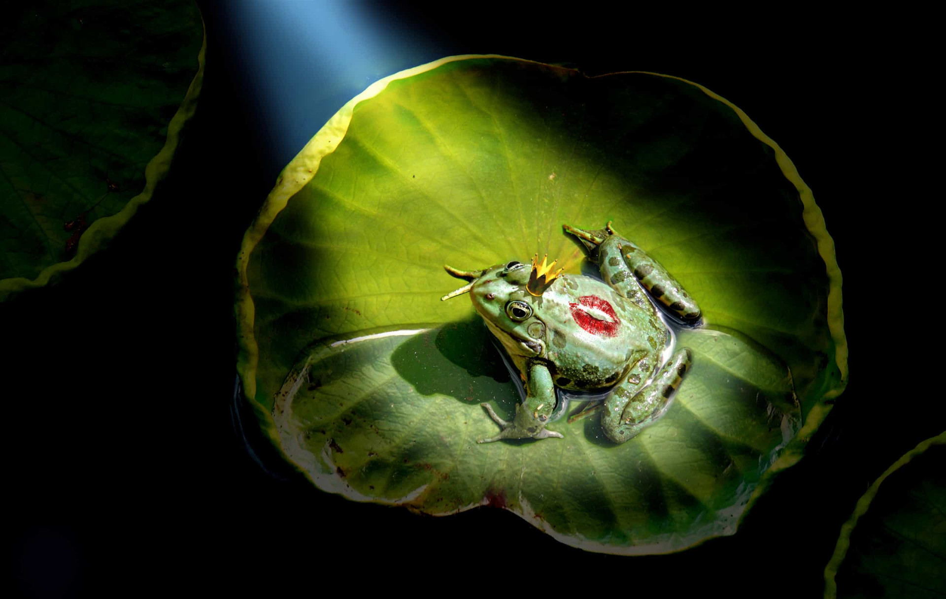 The disturbing stories behind classic fairy tales