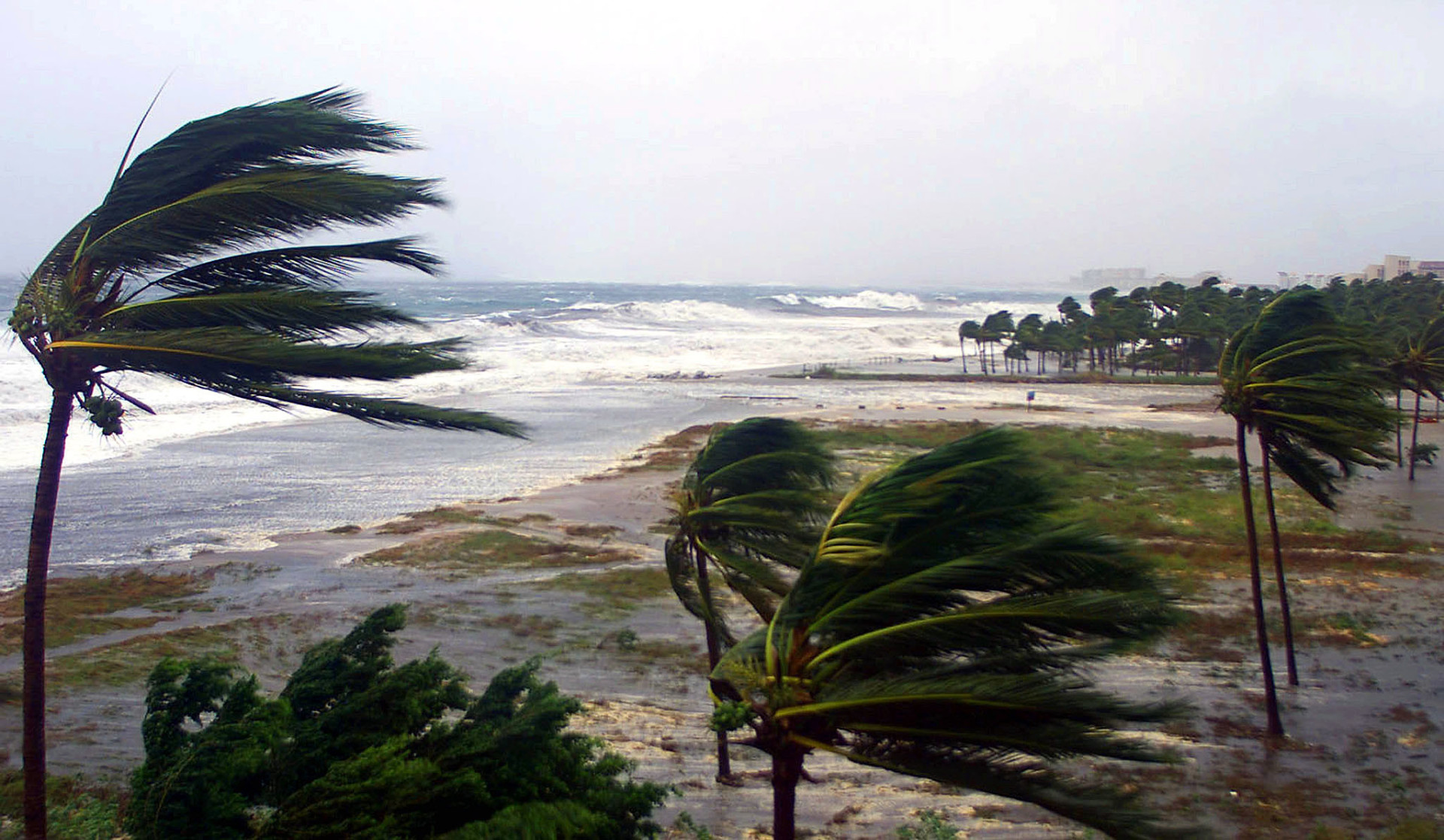 The world's most devastating tropical storms