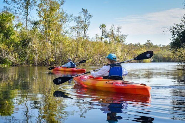 Best Kayaking Spots in South Florida: the Keys, Everglades, Gulf Coast ...