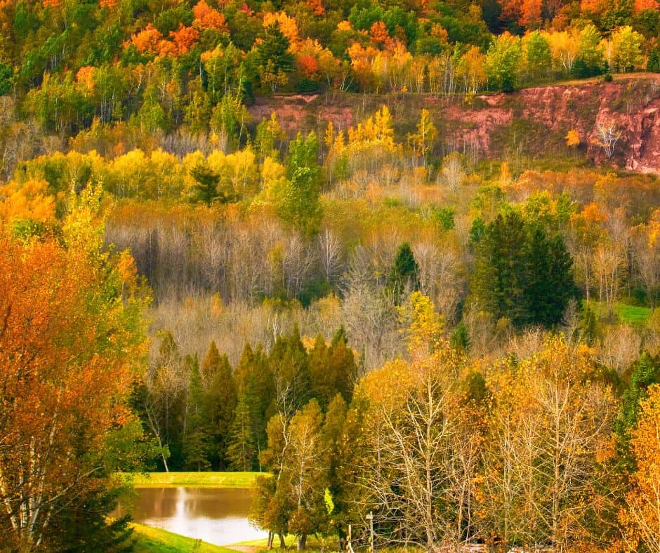 14 Spots to Enjoy Duluth Fall Colors