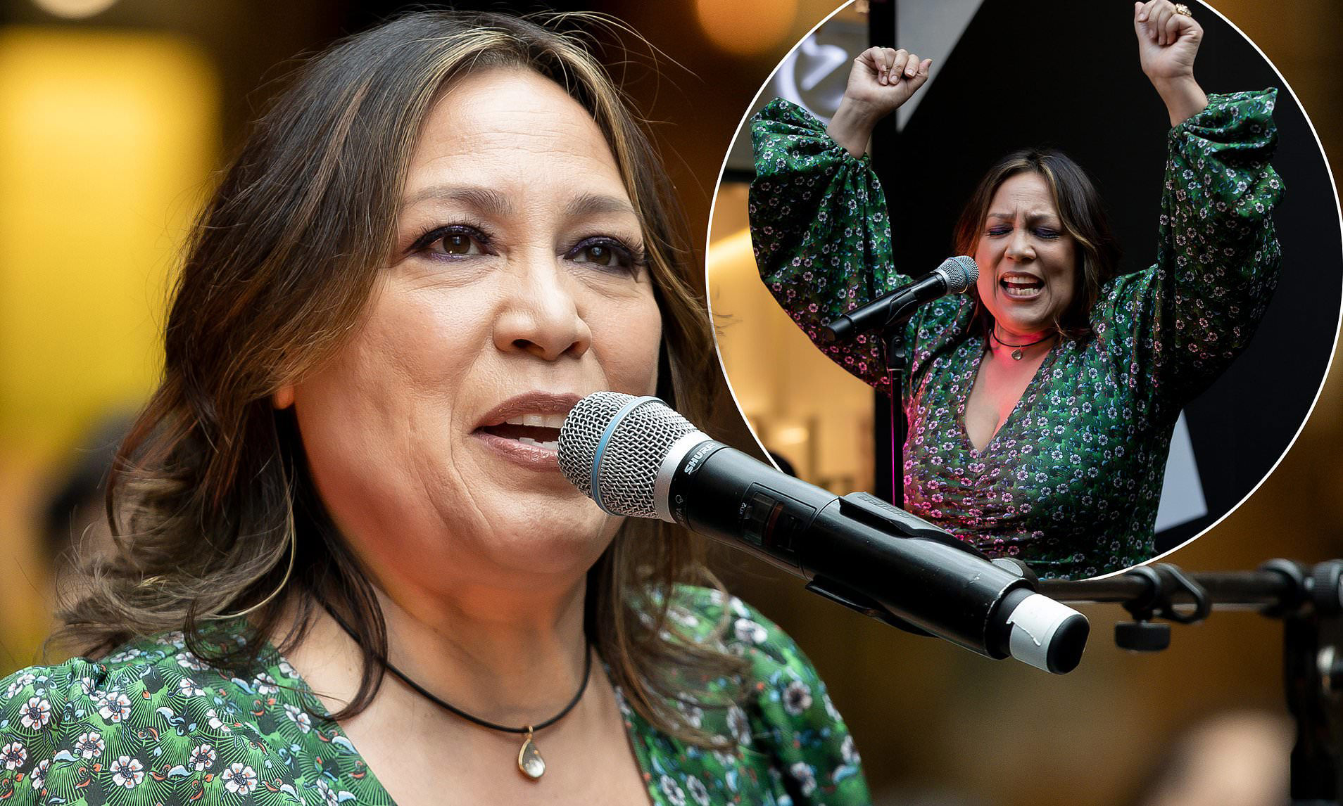 Kate Ceberano is all smiles as she performs free concert in Melbourne