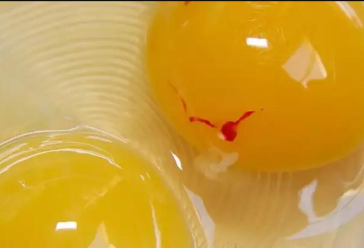 kırmızı lekeli yumurta yemek tehlikeli mi? bilim insanları yanıtladı