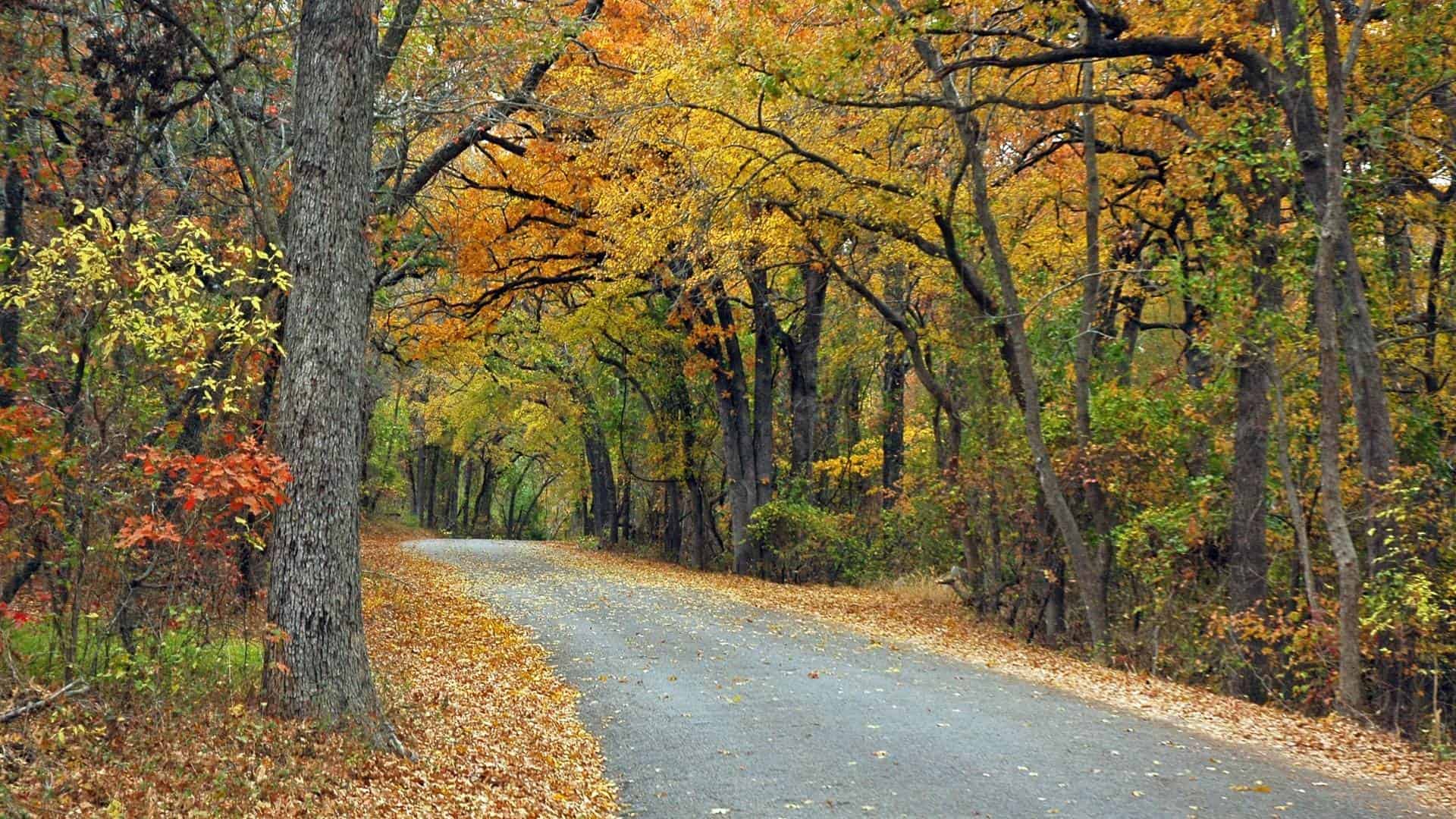 Fall in Texas 12 Places to See Amazing Fall Colors in Texas
