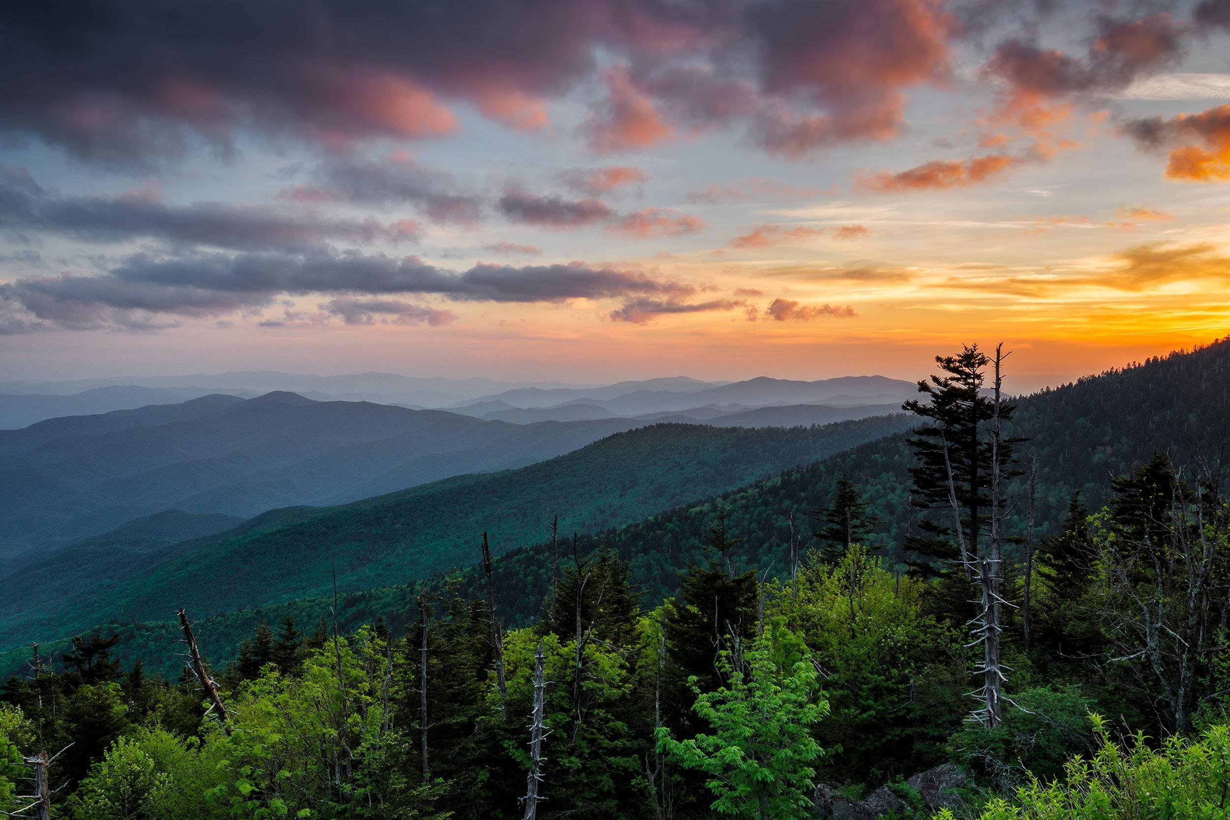 <p>Nature lovers hankering for another scenic selfie need look no further than breathtaking Clingmans Dome, the highest point in Great Smoky Mountains National Park, which straddles North Carolina and Tennessee. Occasionally a black bear might appear in the mountains and foliage behind you.  </p>