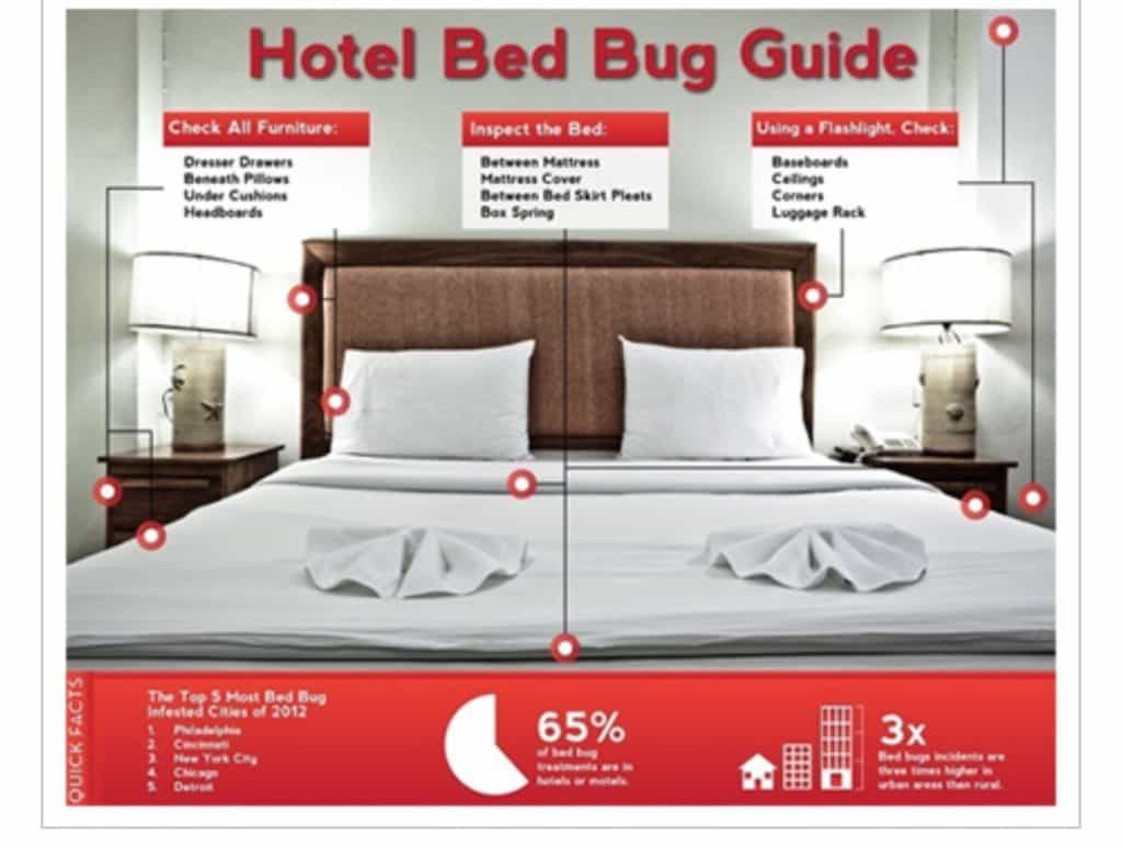 How To Avoid Bed Bugs