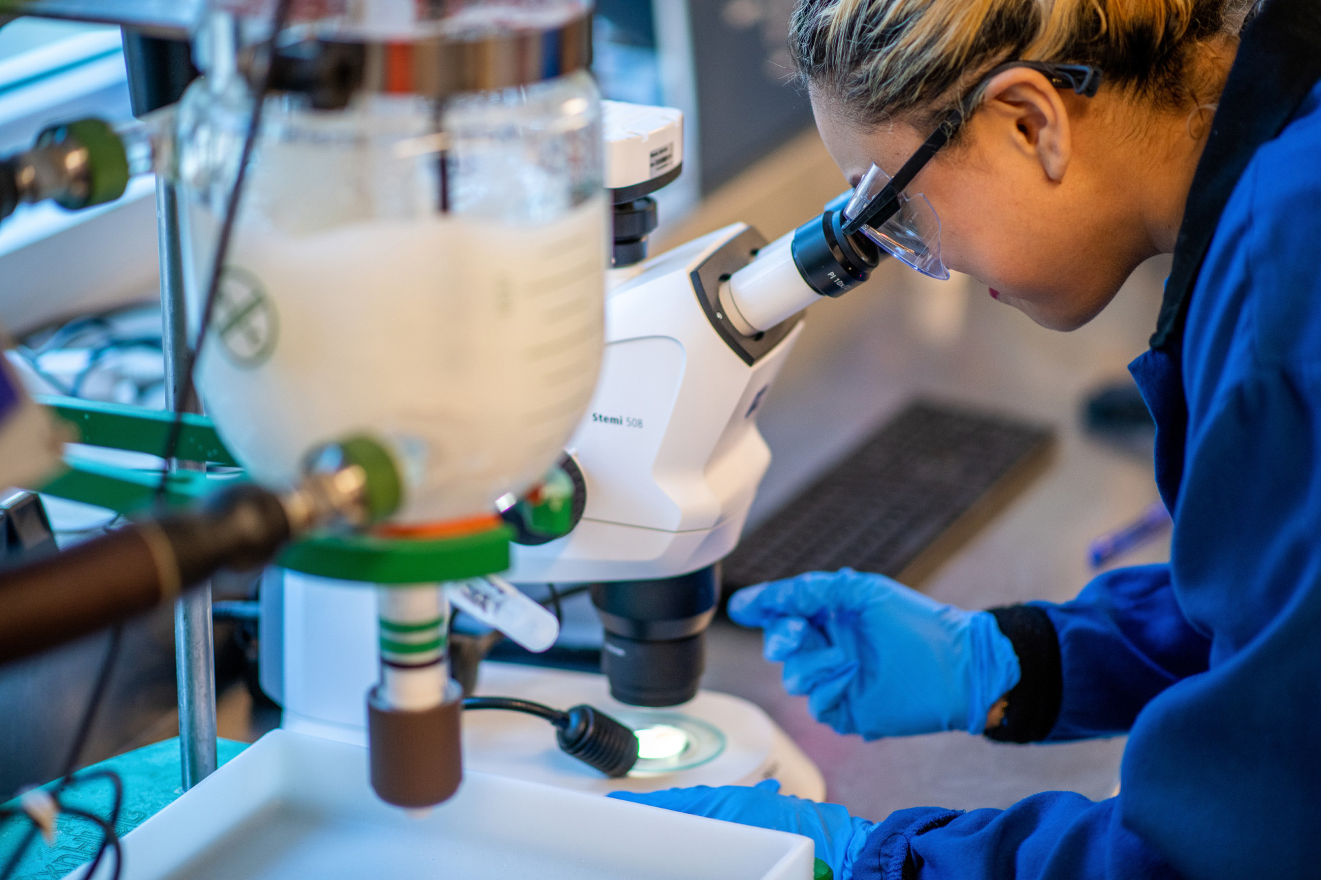 La conclusion du labo