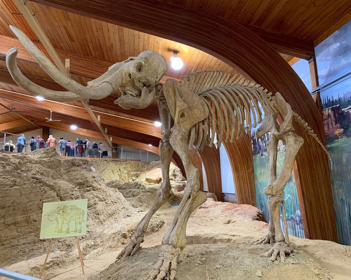 <p>The Mammoth Site in Hot Springs is too cool to pass up as a selfie location. As implied by the name, the largest concentration of mammoth remains in the world has been unearthed at this site. Check out the mammoth replicas and capture the moment you glimpse these giant fossils.</p>
