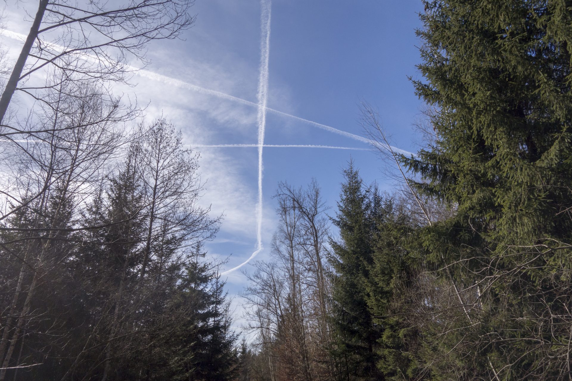 Chemtrails-poison in the sky?