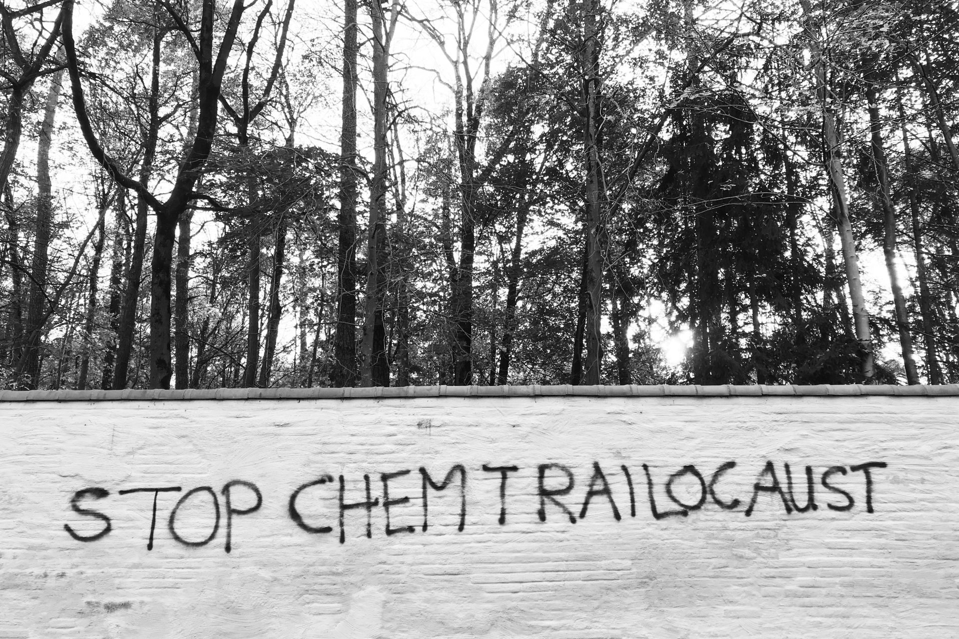 Conspiracy theories are constantly being adapted