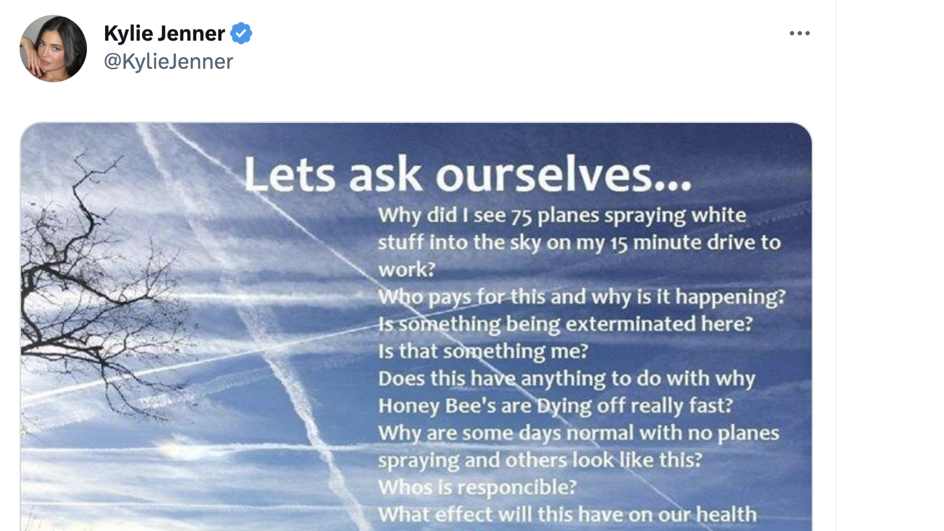 Sometimes it's celebrities who spread these theories