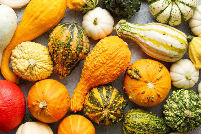 What Are Gourds—and Are They Safe to Eat?