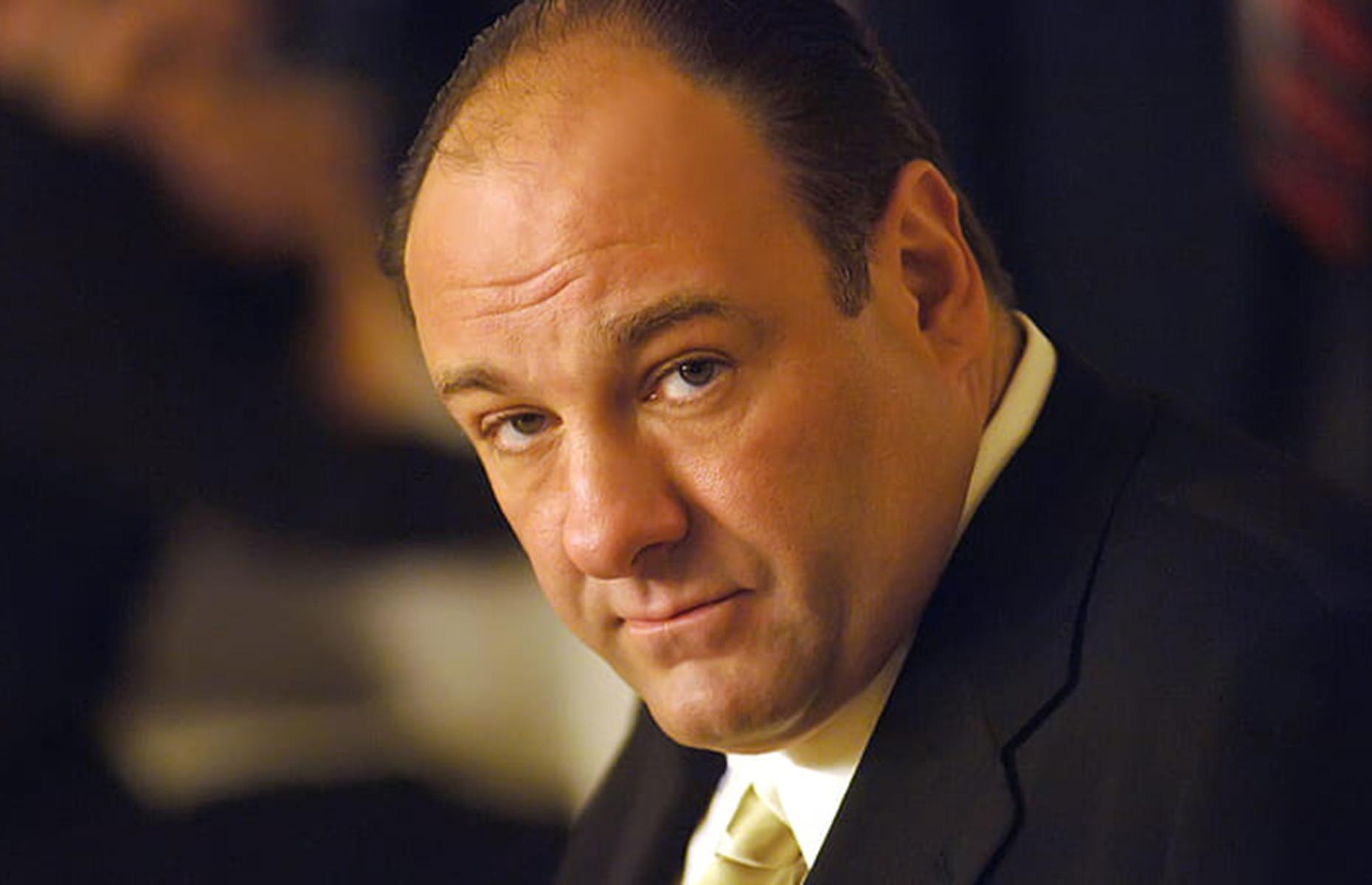 <p>James Gandolfini played Tony Soprano, the head of the DiMeo crime family. </p>  <p>His role as the complicated mafia boss earned Gandolfini three Emmy awards for Outstanding Lead Actor in a Drama Series, as well as a Golden Globe.</p>  <p>The actor made his screen debut in the 1987 comedy<em> Shock! Shock! Shock!</em>, and had also appeared in money-making movies such as <em>True Romance, </em><em>Terminal Velocity</em>, and <em>Crimson Tide</em>. </p>
