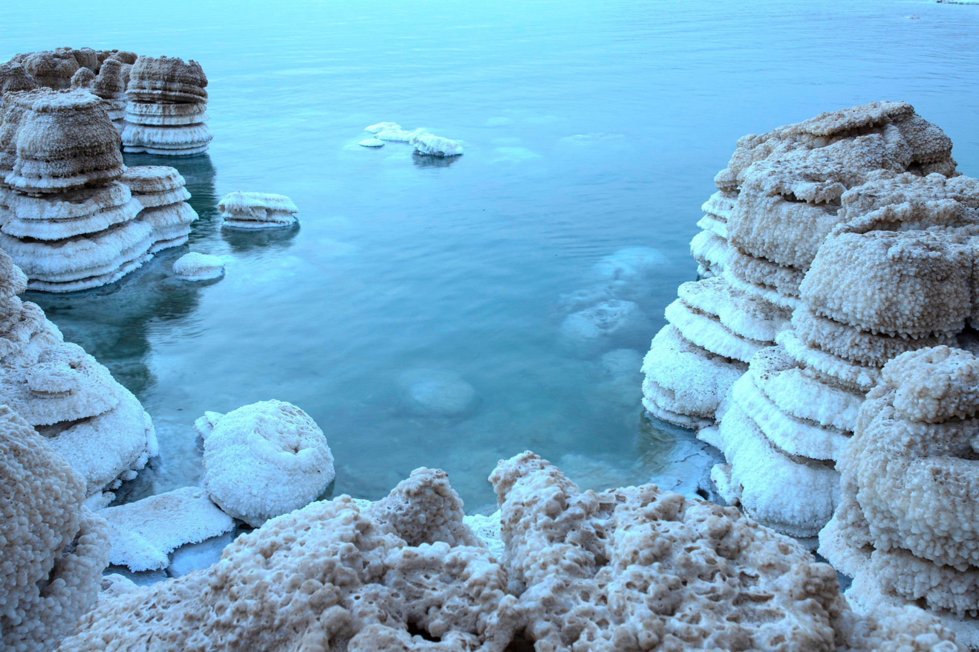 <p>But it's those sediment microorganisms never before found in the Dead Sea that have marine biologists scratching their heads in delighted bewilderment.</p><p><a href="https://www.msn.com/en-us/community/channel/vid-7xx8mnucu55yw63we9va2gwr7uihbxwc68fxqp25x6tg4ftibpra?cvid=94631541bc0f4f89bfd59158d696ad7e">Follow us and access great exclusive content every day</a></p>