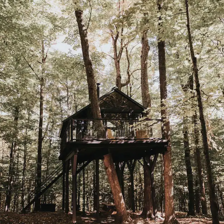 <p>Looking for a unique getaway for you, your pet and maybe a loved one? Look no further than this bona fide treehouse with gorgeous finishes. It’s nestled in Tingwick, Quebec in the middle of a 15-acre maple forest bordered by a stream, a forest and two market gardening fields.</p> <p><a href="https://www.airbnb.ca/rooms/27421783" rel="nofollow noopener">Check out the listing.</a></p> <p>Related: <a href="https://www.hgtv.ca/canadian-travel-trends-on-airbnb-this-spring/" rel="noopener">Canadian Travel Trends on Airbnb This Spring</a></p>