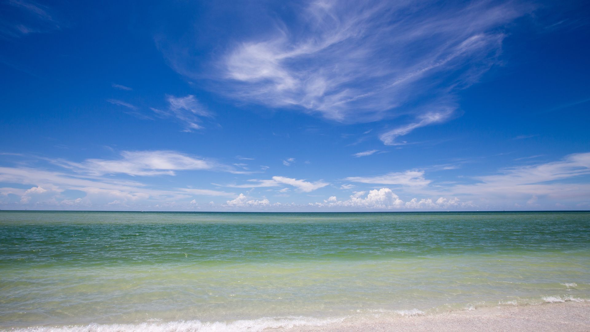 <p>                     Live between Naples and Marco Island? Then head to Keewaydin Island to have a wander on one of the only pet-friendly beaches in the vicinity. With just under 8 miles of pristine white sand, you and your pooch can bask in the sun, frolic in the sea and become acquainted with new surroundings.                   </p>