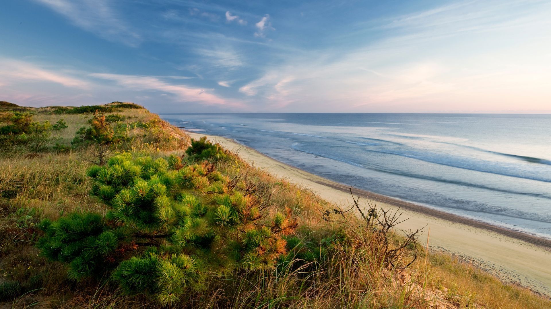 <p>                     Enjoy exploring the outdoors with your pooch in tow? Take a trip to Massachusetts and adventure the 40-mile stretch of sand Cape Cod National Seashore has to see. This spot welcomes leashed dogs all year long.                   </p>