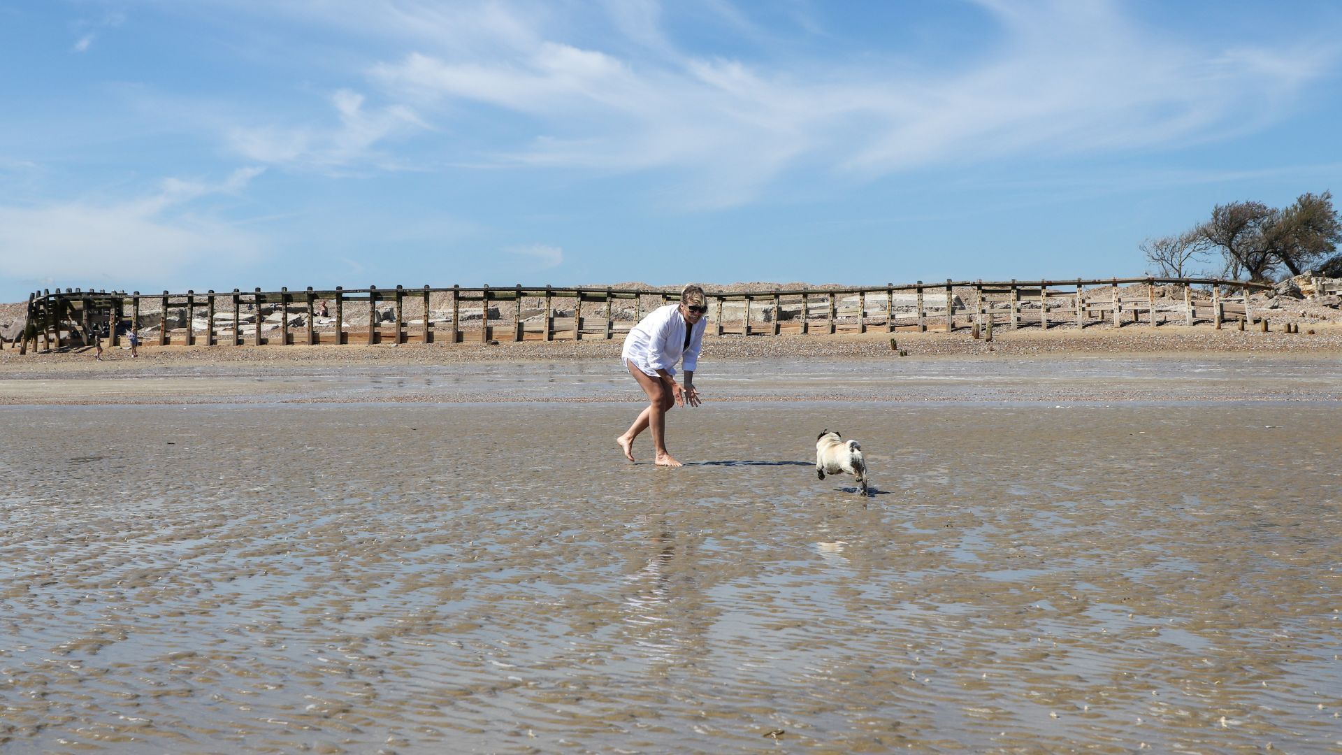 <p>                     Let them splash around and roam the shoreline at Coligny Beach Park in South Carolina, which is another brilliant pet-friendly beach in the US. It is open all year-round. However leash requirements do come into play from Memorial Day through to Labor Day.                   </p>