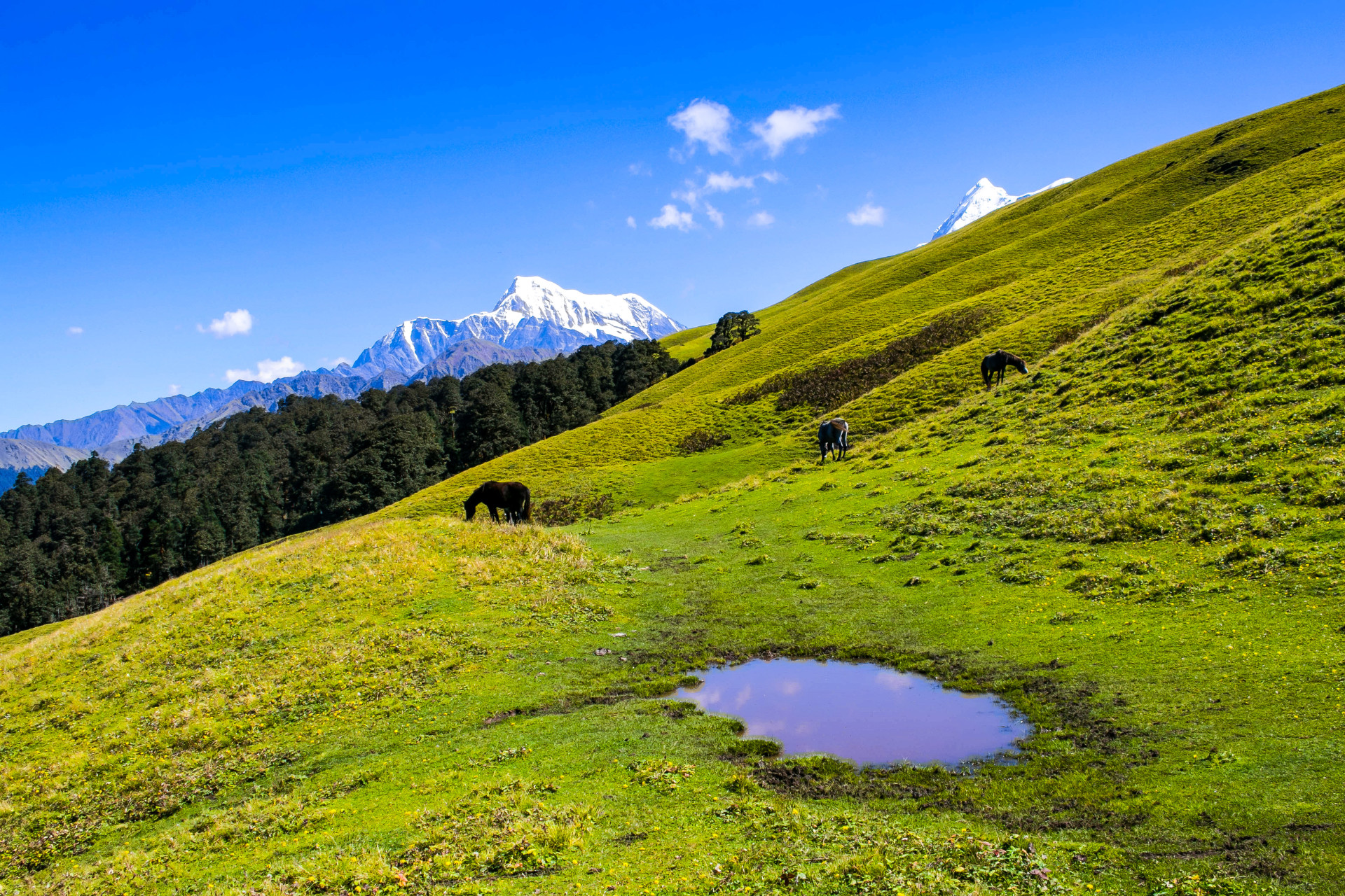 Roopkund