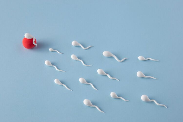 jumlah sperma bisa meningkat, para pria sering-sering makan 5 makanan ini, jangan nyesel sebelum terlambat