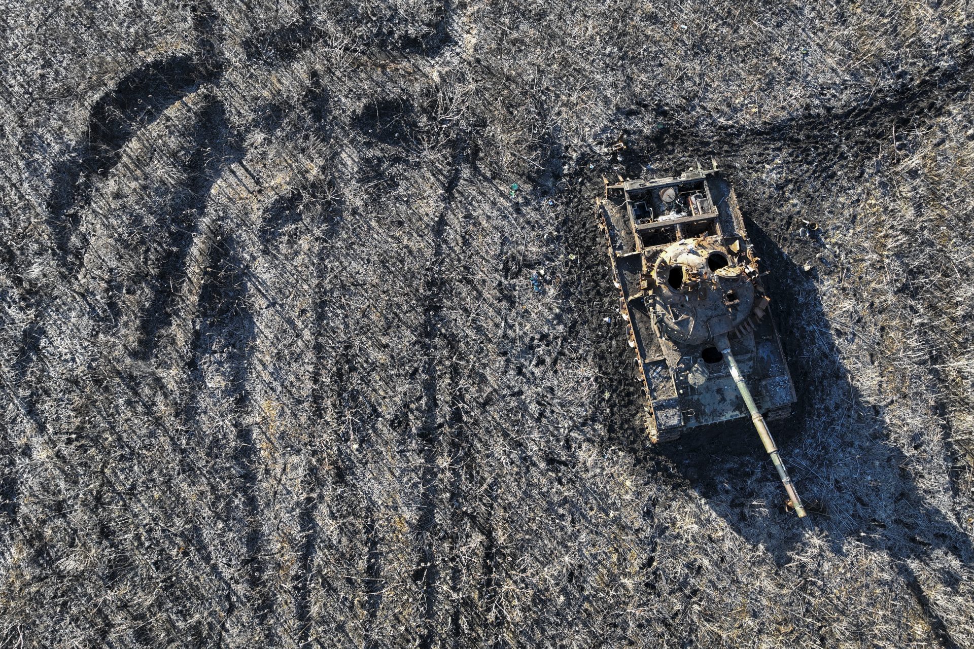 The Center for Strategic and International Studies (CSIS)