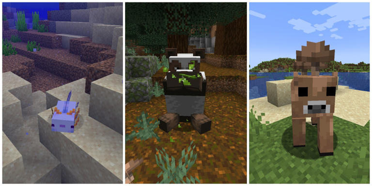 Rarest Minecraft Mob Variants