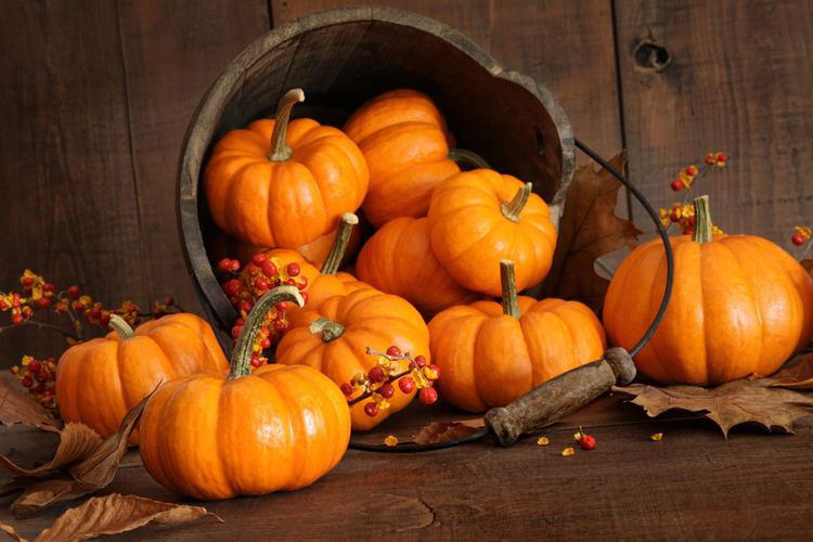 The Power And Many Health Benefits Of Pumpkins