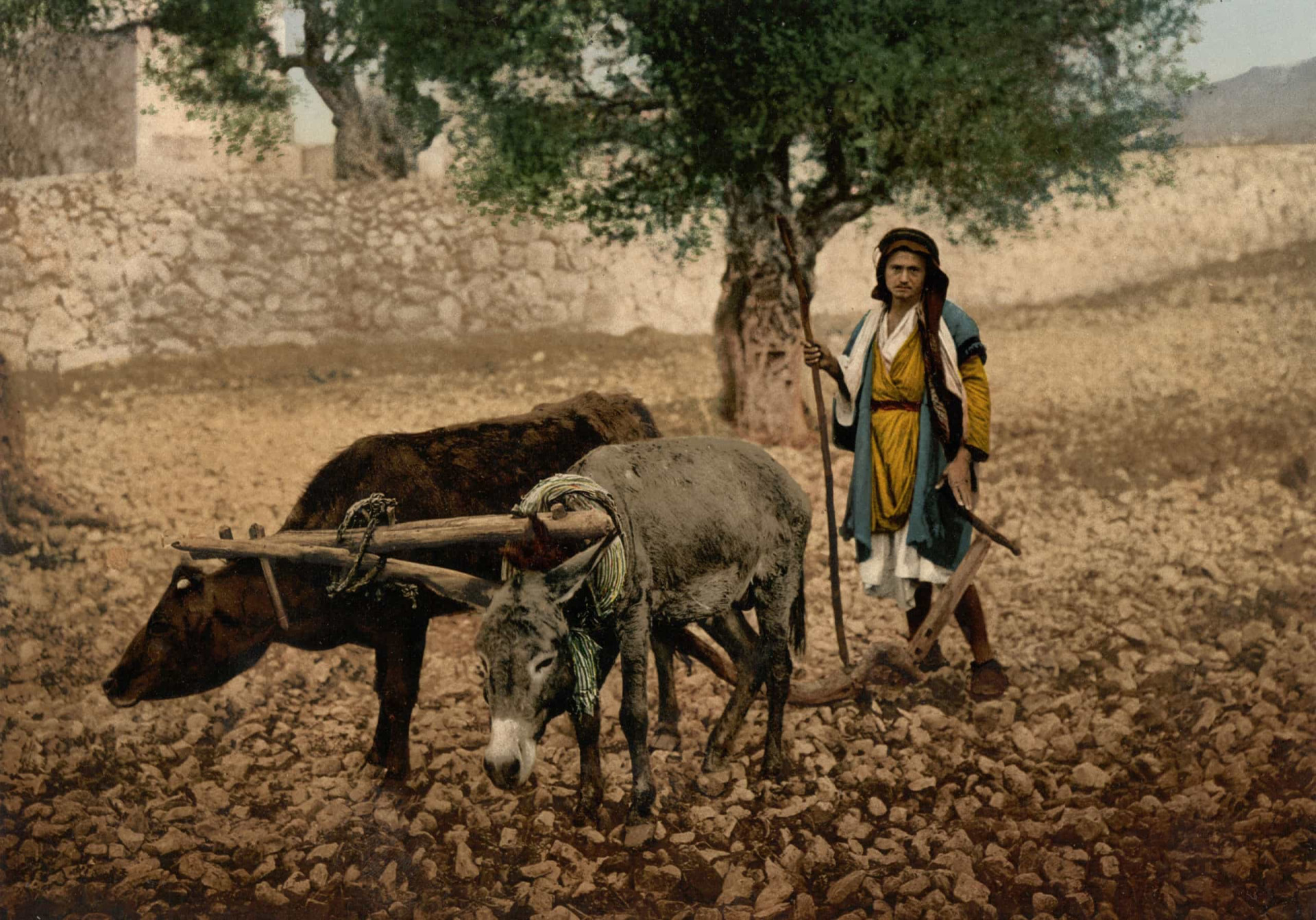 Misturar duas coisas em uma