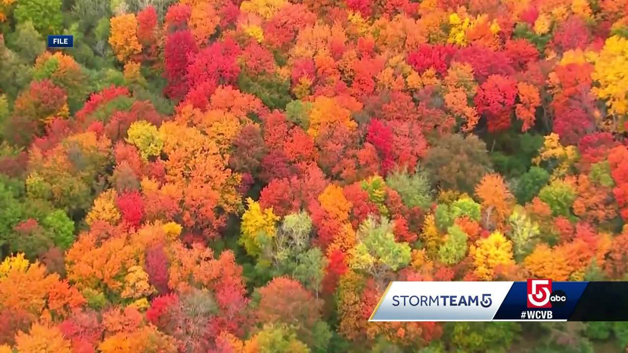 New England fall foliage forecast 2023