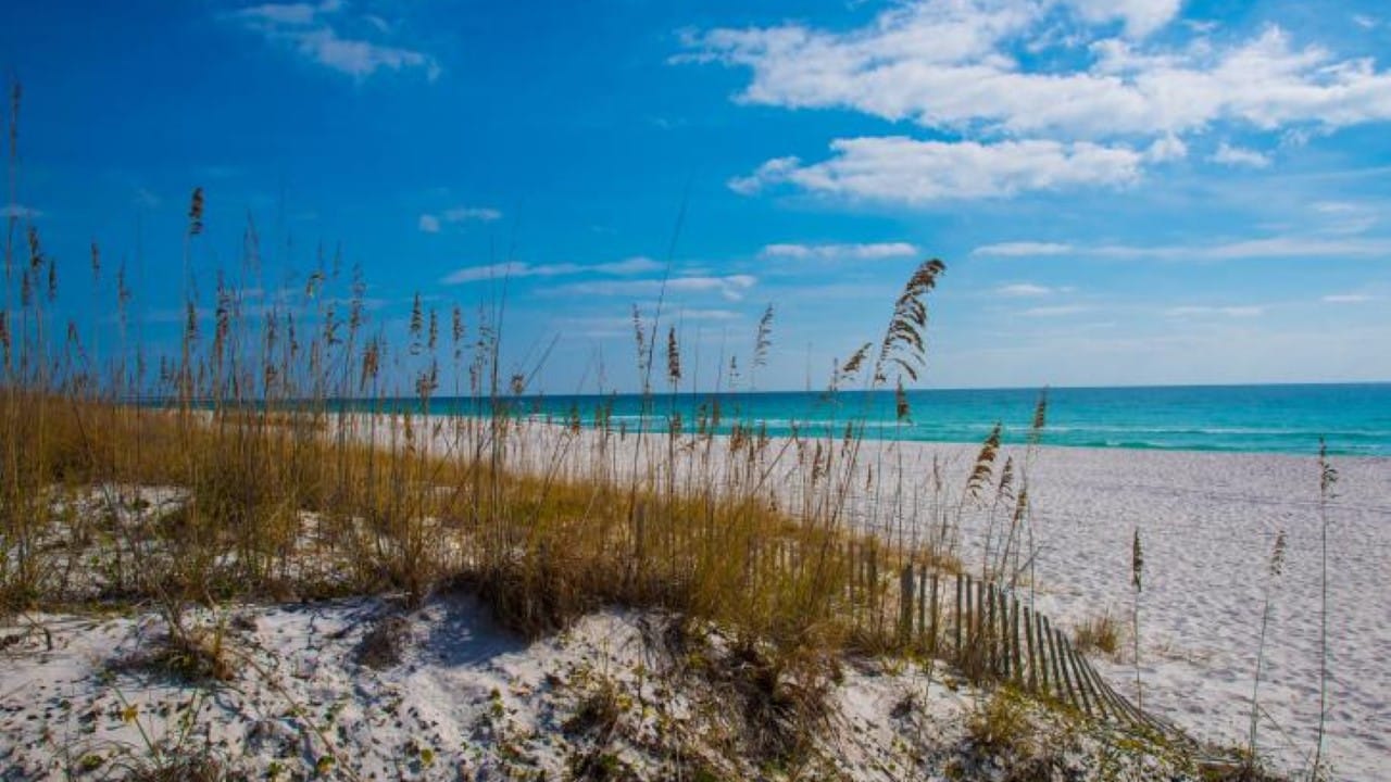 <p>Rated one of the prettiest state parks around, <a href="https://www.floridastateparks.org/parks-and-trails/perdido-key-state-park" rel="nofollow noopener">Perdido Key State Park</a> is the perfect spot to hit the beach. Located on the barrier island of Perdido Key, visitors will enjoy the 2 miles of white sand beaches. If you need some shade, the park has covered picnic pavilions. The park is an excellent place for birding year-round and the chance to see nesting sea turtles from late March into August. Beach wheelchairs are available for no cost — be sure to call and reserve one.  </p>