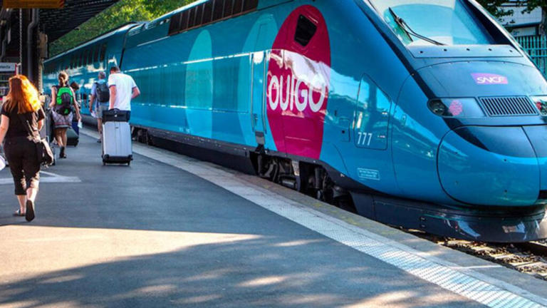 Les trains OUIGO sont facilement identifiables // Source : SNCF