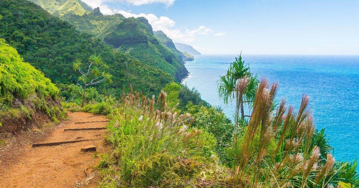 <p> Located on the stunning Nāpali Coast of Kauai, the Kalalau Trail is a breathtaking hike that leads to secluded beaches and dramatic cliffs.  </p> <p> This 22-mile out-and-back trail is physically demanding, with steep ascents and descents. Hikers should have a high level of fitness, be comfortable with heights, and carry ample water and supplies. </p>