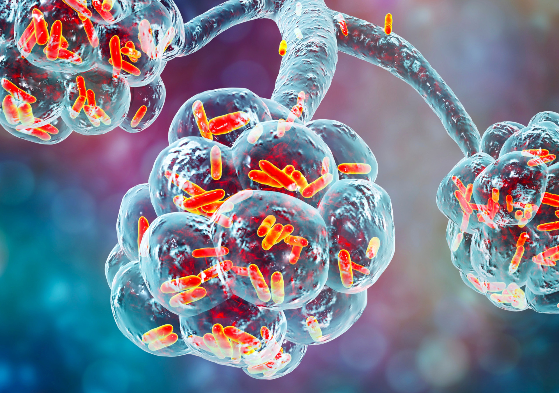 Um vírus potencialmente assassino