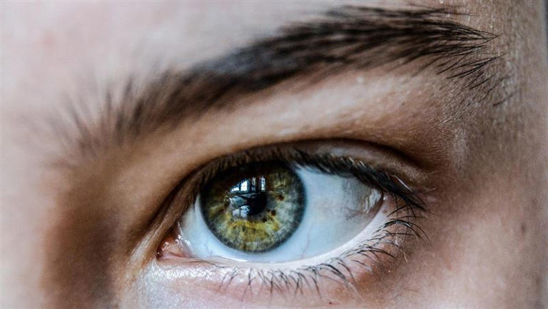 醫師李思賢表示，葉黃素和玉米黃素，可預防眼睛多種疾病，且是強效的抗氧化劑。（示意圖／翻攝自 Pixabay)