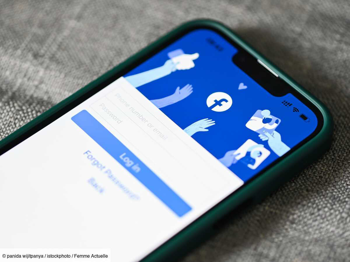 Comment Supprimer Un Compte Facebook Définitivement 